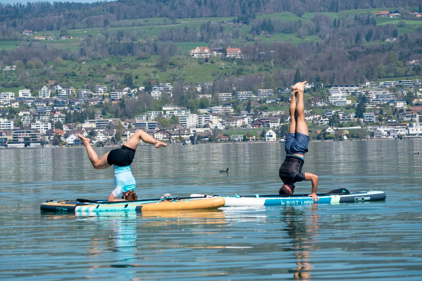 SUP voor beginners: welk board past bij mij?