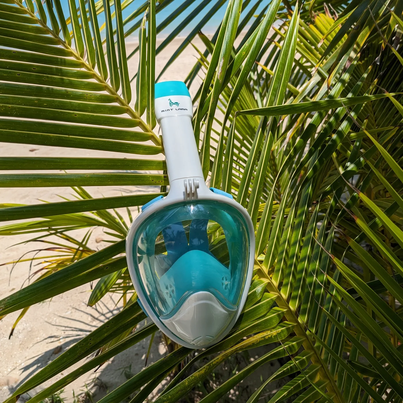 Freebreath snorkelmaskers: snorkelen met helder zicht
