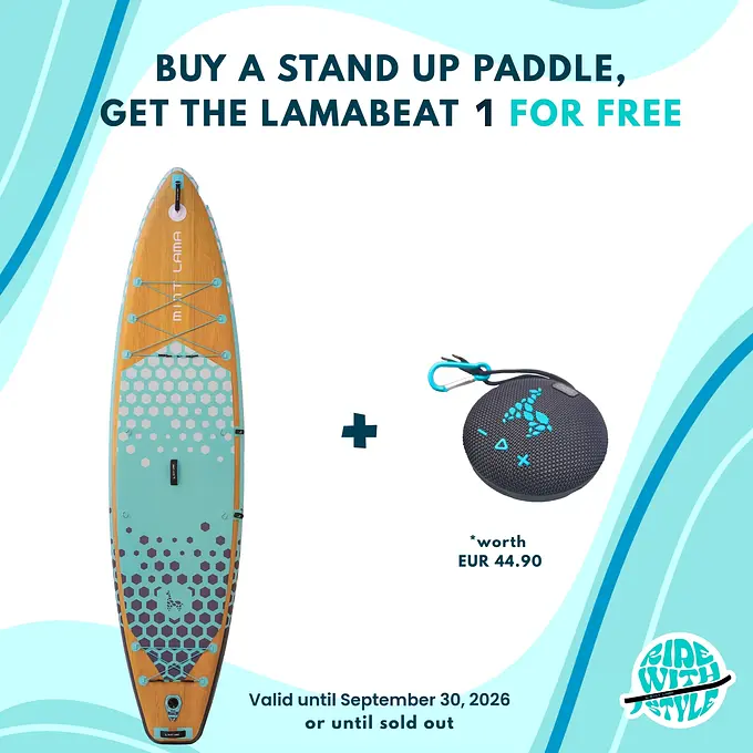 Adventourer 11'6"