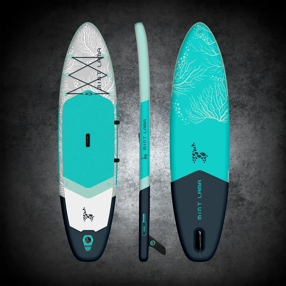 Alpaka 11'0" AQUA Ansicht 2
