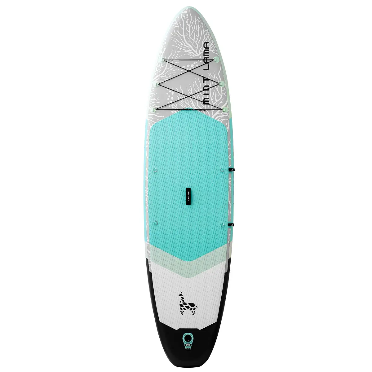 Alpaka 11'0" AQUA Ansicht 19