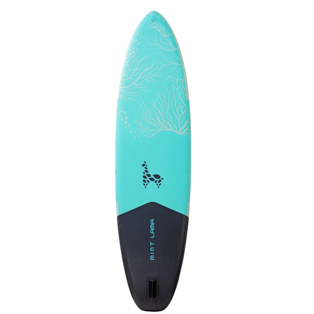 Alpaka 11'0" AQUA Ansicht 21