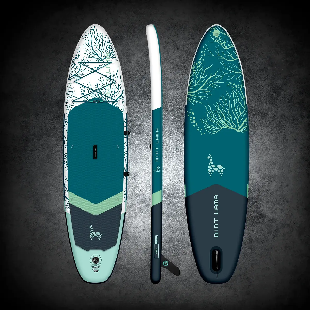 Alpaka 11'0" LAGOON Ansicht 2