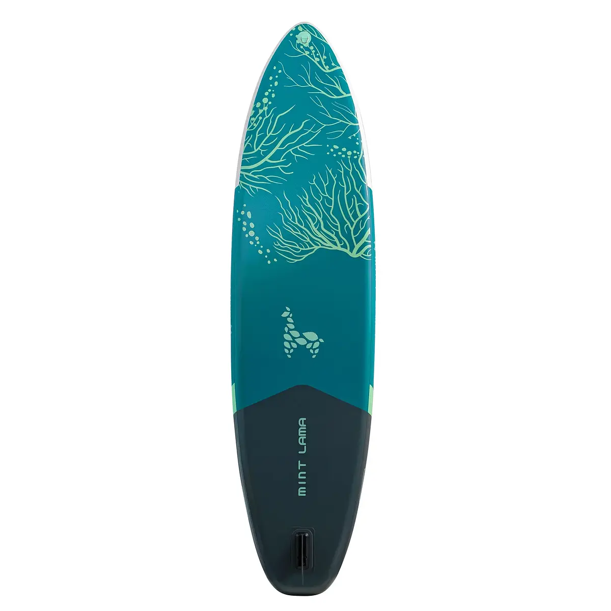 Alpaka 11'0" LAGOON Ansicht 23